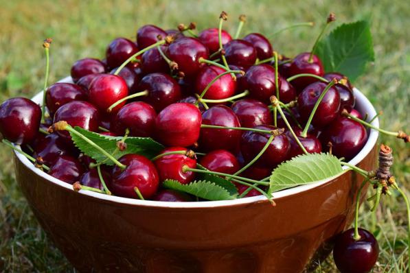 How to Choose Sour cherry Torshak?